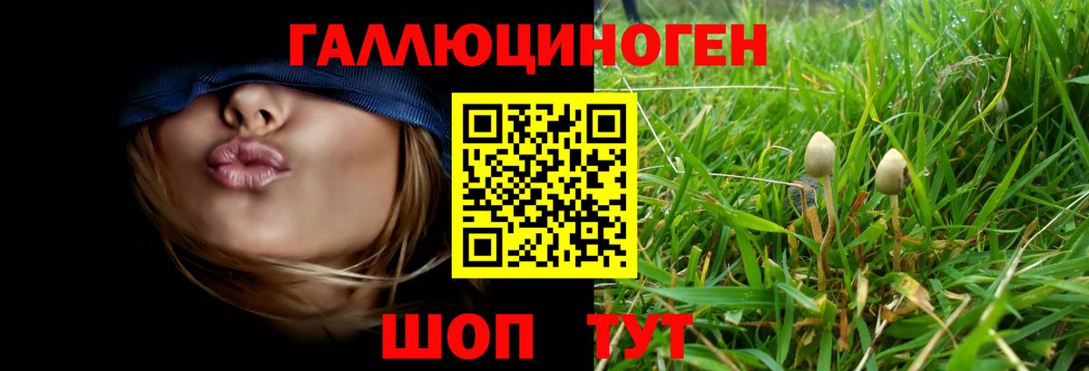 Южно-Сахалинск  Псилоцибиновые грибы ЛСД  Вход с VPN 